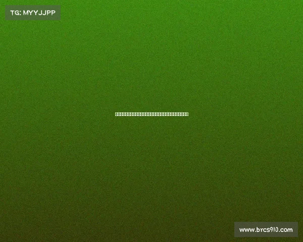 金秋十月体育盛典全球升温，足球篮球网球赛事激情碰撞高潮迭起